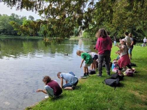 Naturerkundung im Schlosspark